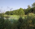 Jardin Botanique Bordeaux Best Of Rennes Familypedia