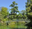 Jardin Botanique Bordeaux Charmant File Bordeaux Jardin Public R02 Wikimedia Mons