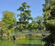 Jardin Botanique Bordeaux Charmant File Bordeaux Jardin Public R02 Wikimedia Mons