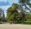 Jardin Botanique Bordeaux Élégant Jardin Public Bordeaux All Year