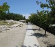 Jardin Botanique Bordeaux Élégant Jard­n Botánico De Burdeos La Enciclopedia Libre