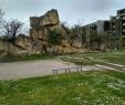 Jardin Botanique Bordeaux Élégant Le Jardin Botanique Bordeaux