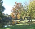 Jardin Botanique Bordeaux Frais File Xdsc 7599 Jardin Public De Bordeaux Wikimedia Mons