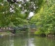 Jardin Botanique Bordeaux Frais Jardin Public Bordeaux 2020 All You Need to Know before