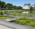 Jardin Botanique Bordeaux Génial 10 Things You Must Do In Bordeaux