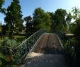 Jardin Botanique Bordeaux Génial File Bordeaux Jardin Public Vue N°4 Wikimedia Mons