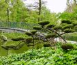 Jardin Botanique Bordeaux Génial Jardin Public Bordeaux 2020 All You Need to Know before