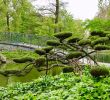 Jardin Botanique Bordeaux Génial Jardin Public Bordeaux 2020 All You Need to Know before