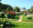 Jardin Botanique Bordeaux Génial Rennes Familypedia