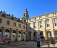 Jardin Botanique Bordeaux Inspirant Cour Mably Bordeaux 2020 All You Need to Know before You