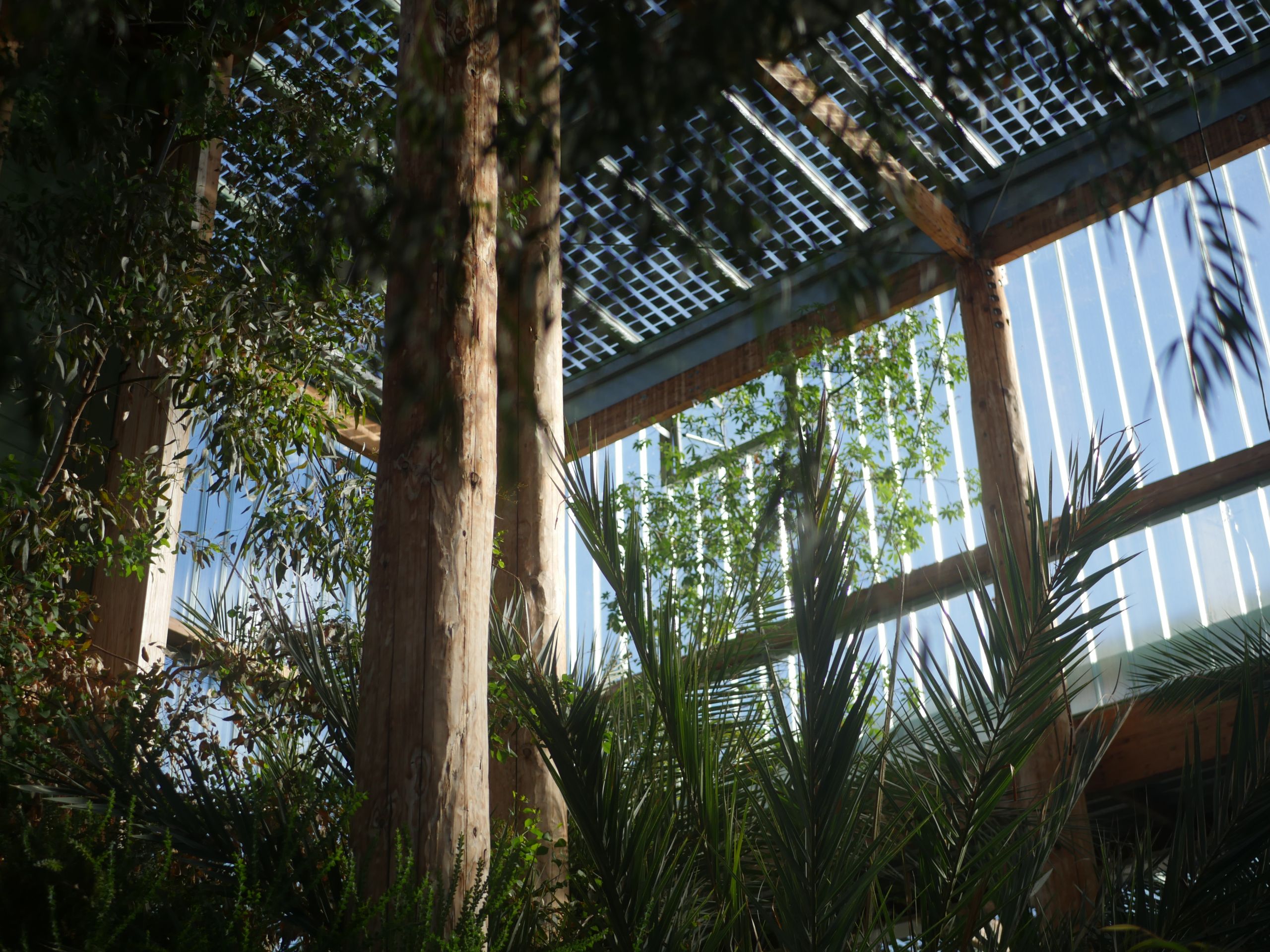 Jardin botanique Serres Bordeaux batiment photo Sara Soulignac