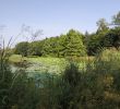 Jardin Botanique Bordeaux Luxe Rennes Familypedia