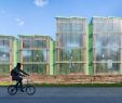 Jardin Botanique Bordeaux Nouveau épinglé Sur Amenagement Paysage