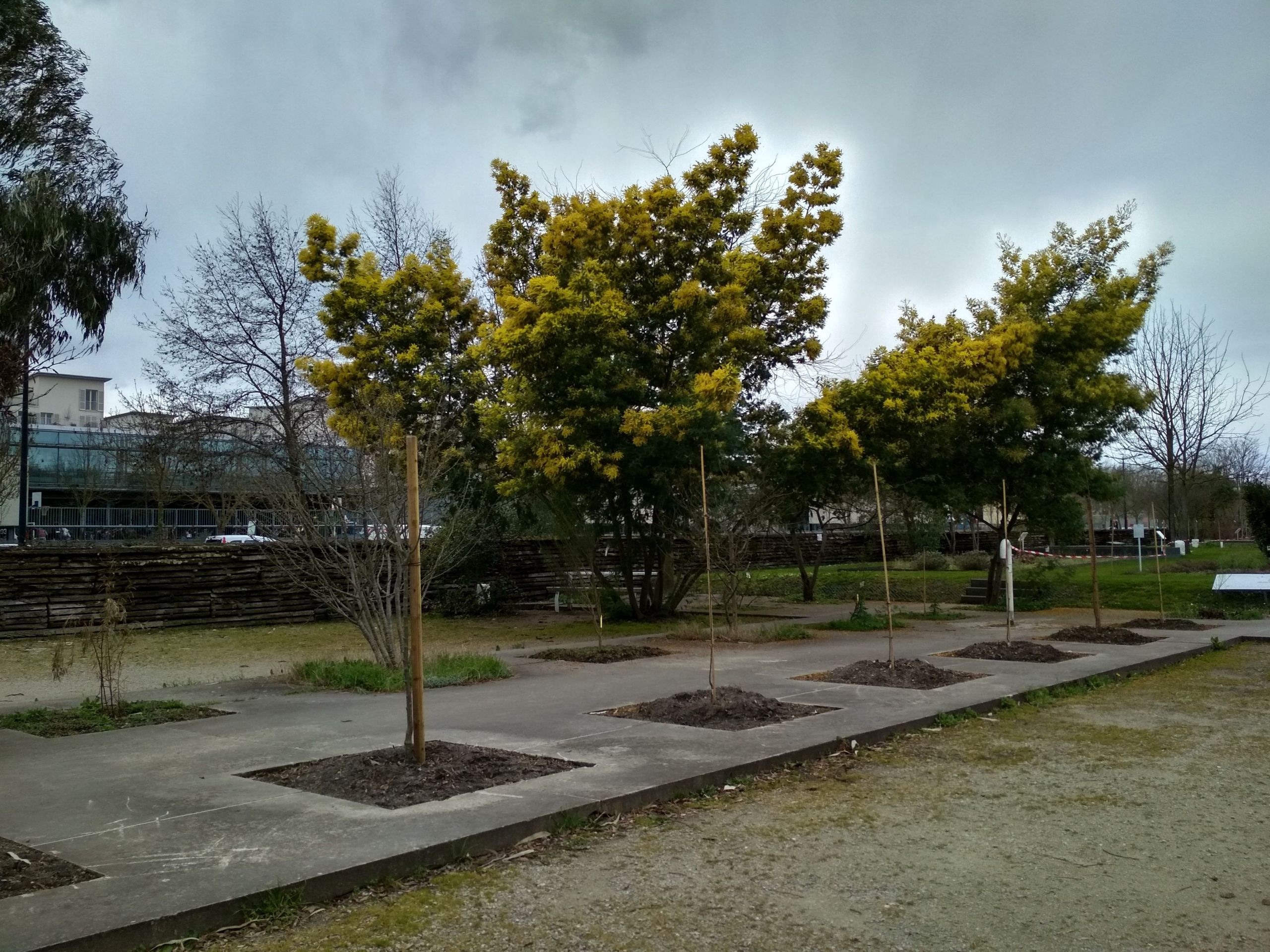 jardin botanique bordeaux all year