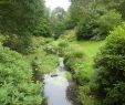 Jardin Botanique Brest Génial File Brest Vallon Du Stang Alar 2 Jpg Wikimedia Mons