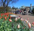 Jardin Botanique Brooklyn Beau Get Your Green Thumb In Shape with Brooklyn Botanic Garden S