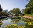 Jardin Botanique Brooklyn Élégant Brooklyn Botanic Launches Protest Exhibit About Proposed