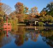 Jardin Botanique Brooklyn Élégant File Brooklyn Botanic Garden New York November 2016 008