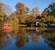 Jardin Botanique Brooklyn Élégant File Brooklyn Botanic Garden New York November 2016 008