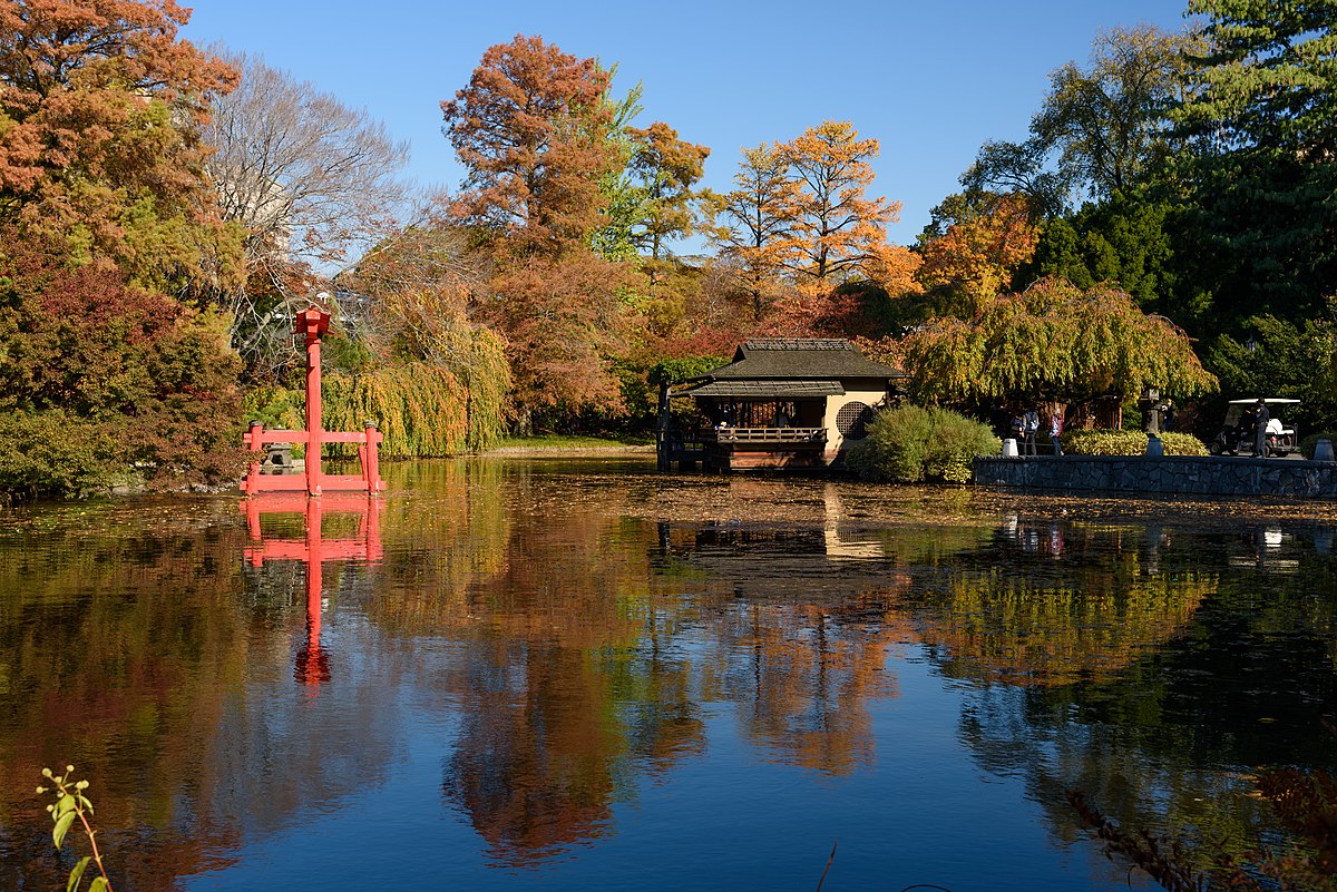 Jardin Botanique Brooklyn Élégant File Brooklyn Botanic Garden New York November 2016 008