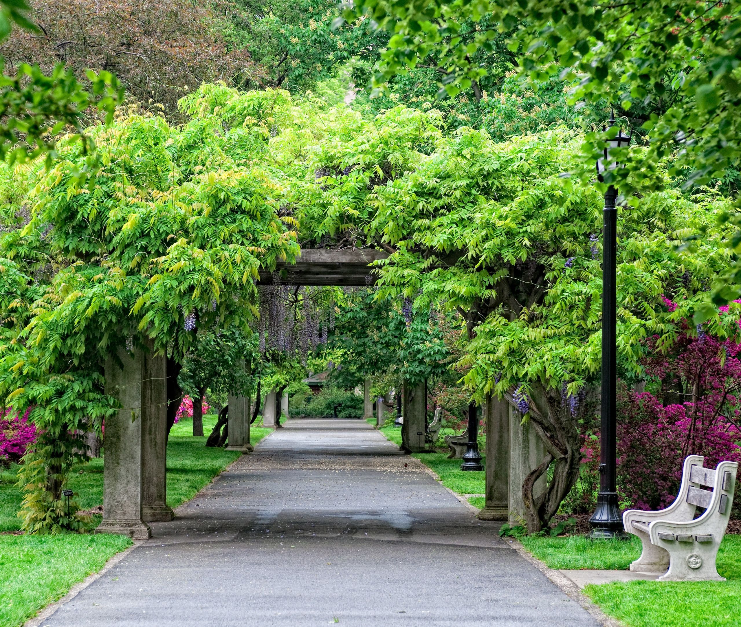 01 nyc 2019 brooklynbotanicalgardens BBG Summer Osborne AntonioMRosario