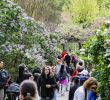 Jardin Botanique Brooklyn Nouveau Brooklyn Botanic Garden Resists Buildings that Would Cast