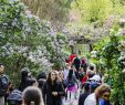 Jardin Botanique Brooklyn Nouveau Brooklyn Botanic Garden Resists Buildings that Would Cast