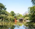 Jardin Botanique Brooklyn Nouveau top 10 Secrets Of the Brooklyn Botanic Garden In Nyc