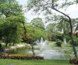 Jardin Botanique Charmant Zoo and Botanical Gardens In Ho Chi Minh attraction In Ho