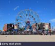 Jardin Botanique De Brooklyn Élégant Denos Wonder Wheel Stock S & Denos Wonder Wheel Stock