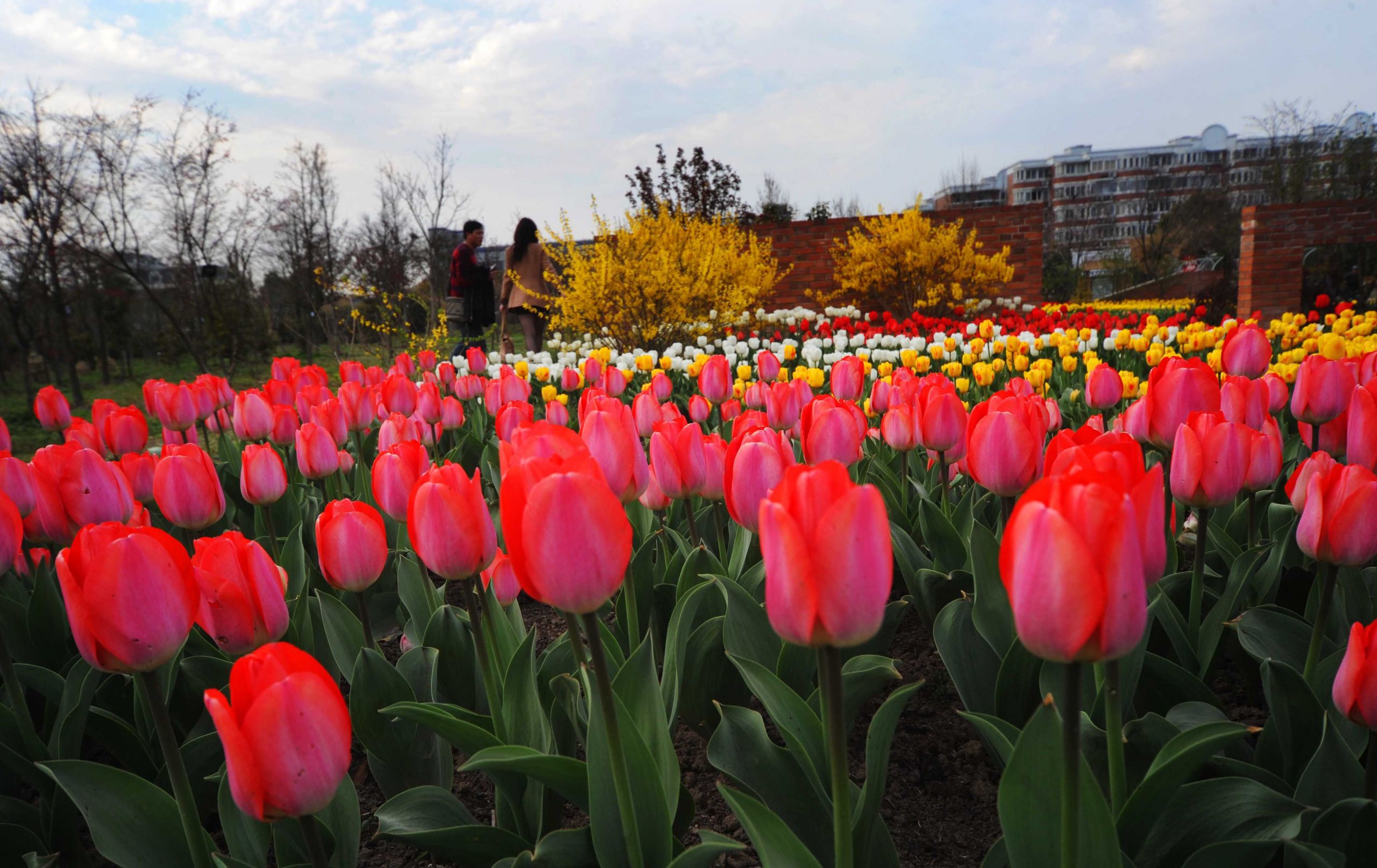 shanghai flower show 2011 opens 5ae73f20ff1b b41c0