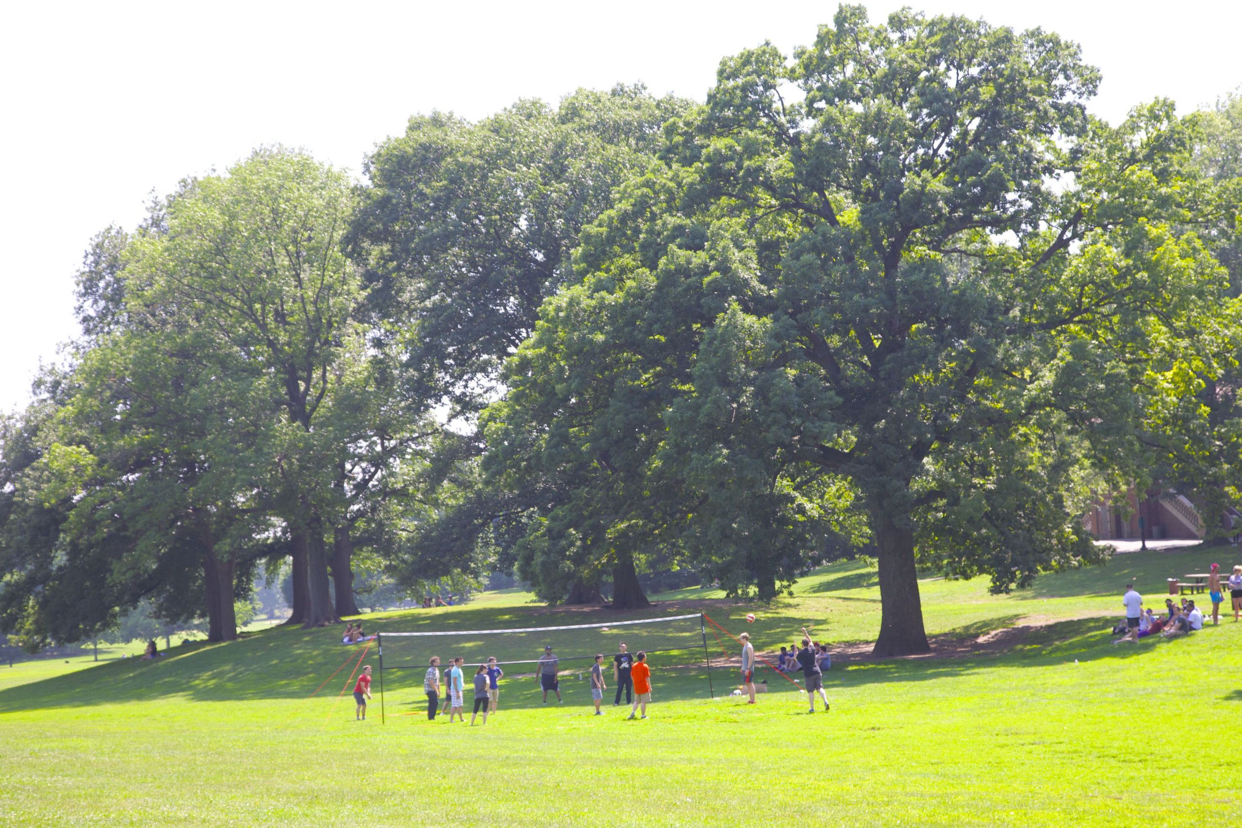 Jardin Botanique De Brooklyn Luxe A Visitors Guide to Prospect Park In Brooklyn New York