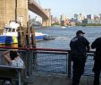 Jardin Botanique De Brooklyn Luxe Father Of Baby Found Dead In East River is Jailed In New