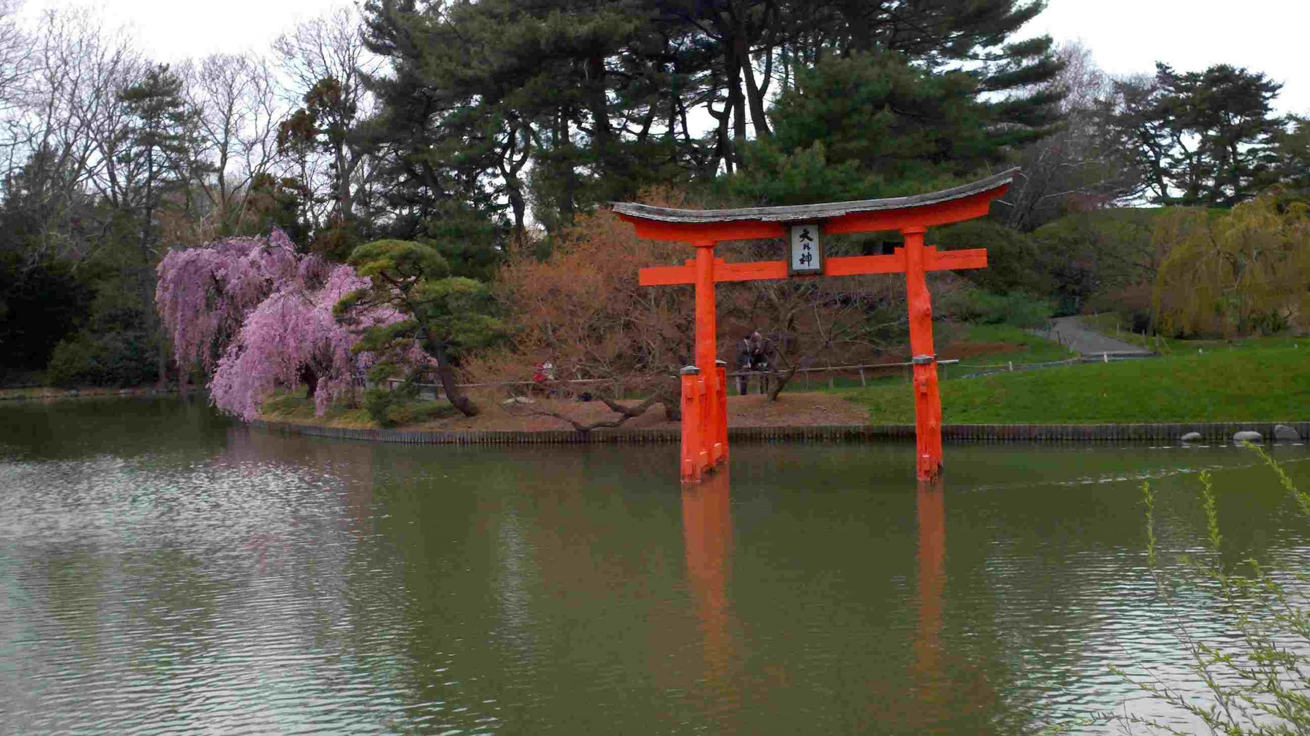 Jardin Botanique De Brooklyn Unique Brooklyn Botanic Garden Visitors Guide