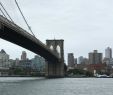 Jardin Botanique De Brooklyn Unique Brooklyn Bridge Bike Rent New York City 2020 All You