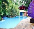 Jardin Botanique De Deshaies Best Of Tendacayou Ecolodge & Spa Pool & Reviews Tripadvisor