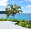 Jardin Botanique De Deshaies Charmant Les Reves D or Prices & Guesthouse Reviews Deshaies