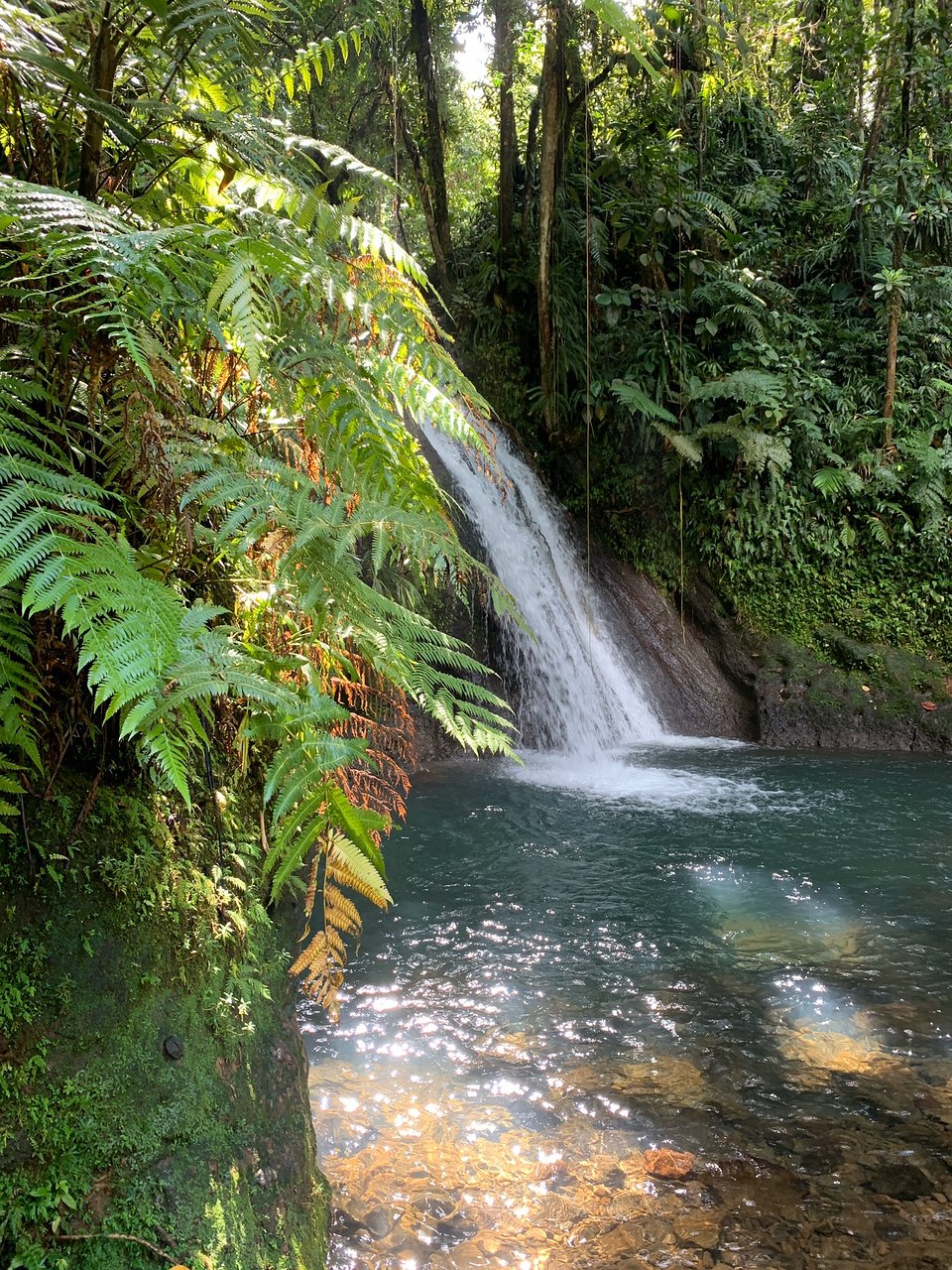 Jardin Botanique De Deshaies Frais Deshaies 2020 Best Of Deshaies Guadeloupe tourism