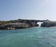 Jardin Botanique De Deshaies Génial Power 360 Catamaran Cruise Antigua From St John S