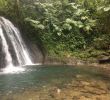 Jardin Botanique De Deshaies Nouveau Cascade Aux Ecrevisses Parc National 2020 All You Need