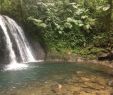 Jardin Botanique De Deshaies Nouveau Cascade Aux Ecrevisses Parc National 2020 All You Need