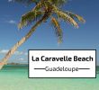 Jardin Botanique De Deshaies Nouveau Guadeloupe Beach La Caravelle
