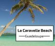 Jardin Botanique De Deshaies Nouveau Guadeloupe Beach La Caravelle