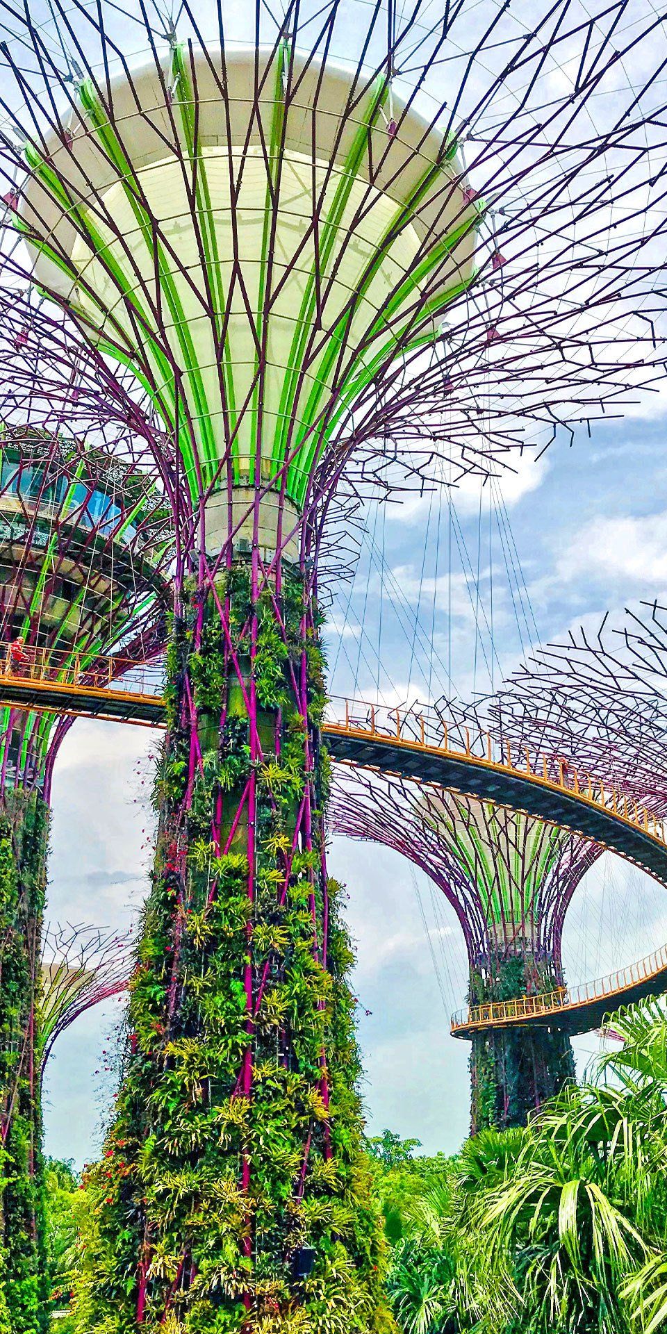 Jardin Botanique De tours Beau Singapore Singapore