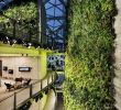 Jardin Botanique De tours Charmant why Amazon Built Its Workers A Mini Rain forest Inside Three