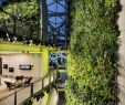 Jardin Botanique De tours Charmant why Amazon Built Its Workers A Mini Rain forest Inside Three