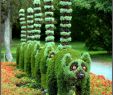 Jardin Botanique De tours Frais 44 Best Cactus Garden Images