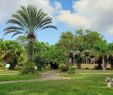 Jardin Botanique De tours Frais Jardin Botanique Cayenne 2020 All You Need to Know