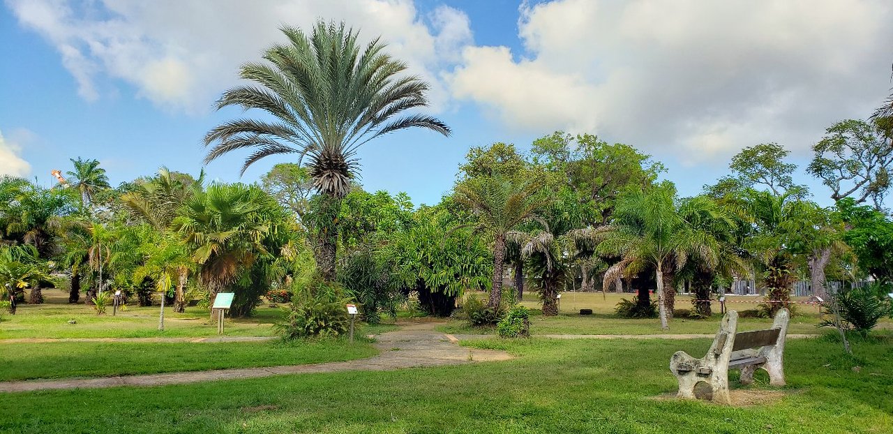 Jardin Botanique De tours Frais Jardin Botanique Cayenne 2020 All You Need to Know