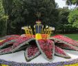 Jardin Botanique De tours Inspirant 205 Best topiary Images